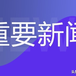 娱乐新闻的定义与内涵，形与核的独特结合