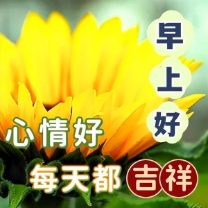 最新版最漂亮的早上好短语句子，每天都吉祥