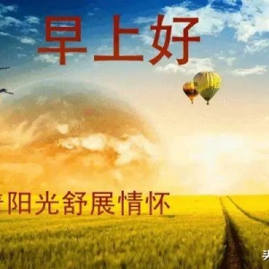 最新版早安问候祝福语短信大全，暖心的早安问候语动态表情