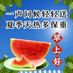 今日最新版本早上好祝福语，新的一天开始了，愿你心想事成