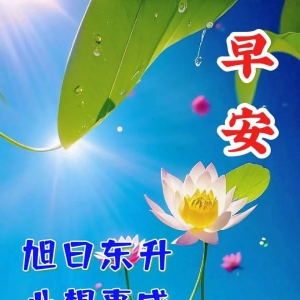 早安祝福暖心图片带字带早上好语录，祝朋友们幸福吉祥！