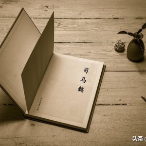 三国中司马懿的历史人物解说