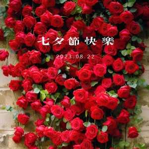 玫瑰花