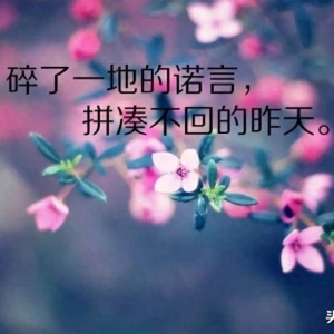 唯美句子，经典入心，百看不厌