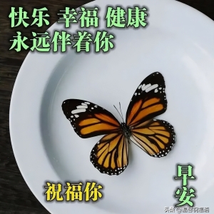 清晨超暖心早安问候语图片表情带字，早安清晨短信问候祝福语