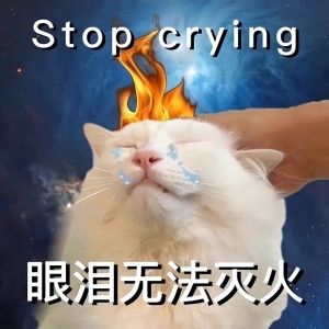 笑话十条：室友养了只金鱼，快期末考试了，我们就把它当考神来拜