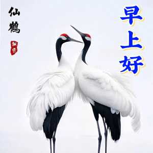 9月5日早上好问候语阳光句子 祝福朋友早安吉祥快乐微信说说文案