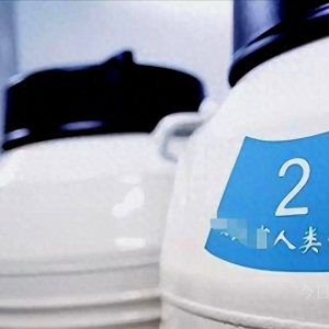 地下捐精有多乱，女记者被约到宾馆，捐精者：直接怀孕只收800元