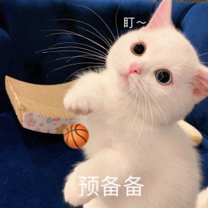 笑话十条：按说初中不应该干出这么脑残的事儿了