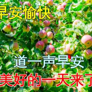 每日晨语问候早安 问候语