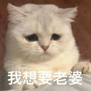笑话十条： 我发现一件很可怕的事情。蚊子的飞行速度比高铁还快