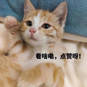 笑话十条：和我妈闹别扭，我抓起手机就离家出走了