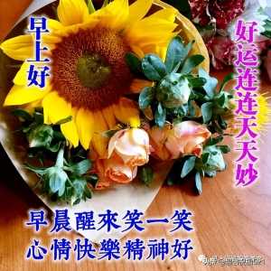 周日微信群发朋友早上好祝福短信 最新的早安问好图片带字带祝福语