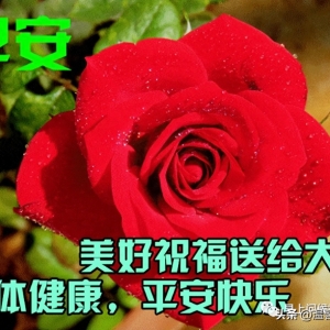 漂亮的早上好带字表情图片问候语录，清晨送给大家的祝福短信