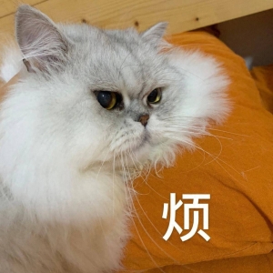 笑话十条：发小和男神约会，本来想装醉让男神送回家
