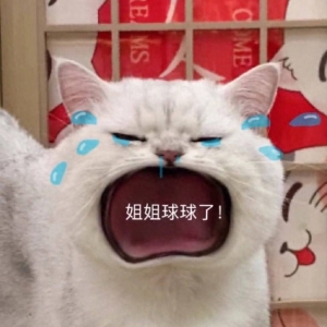 笑话十条：三十几的堂哥跟媳妇儿登记完从民政局走出来