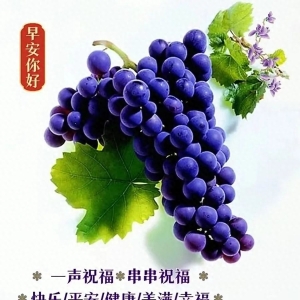 微信群发家人朋友漂亮早安祝福语图片带字 免打字早上好精选问候语