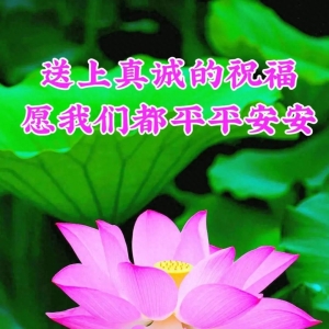 9月11日群发亲友温馨问候祝福语大全。愿大家健康快乐，周一愉快