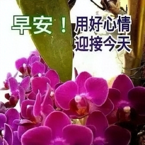 创意唯美亲人朋友早上好祝福语图片大全 2023秋日清晨早安问候语