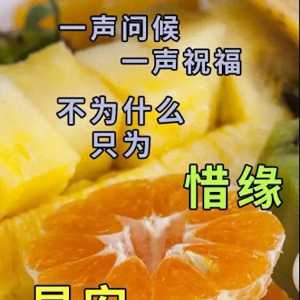 非常好看的早安祝福语创意图片，早上好关怀亲友温馨问候祝福短信