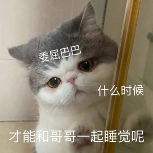 笑话十条：吃完饭没事去街上溜达，看到一小偷抢包