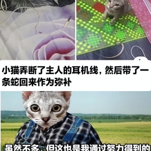 有没有让人笑喷的段子？