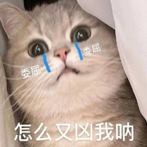 笑话十条：看到几个小孩在玩过家家，不禁感慨古老的游戏被传承