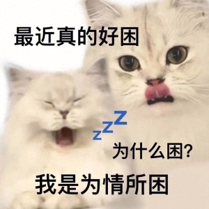 笑话十条： 妈妈在客厅对哥哥实行手头教育