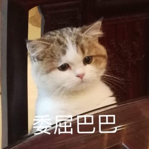 笑话十条：你过来帮帮忙，假扮我一天男友，回头我请你吃大餐