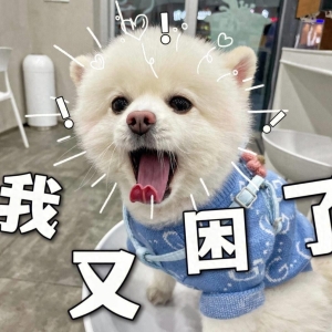 笑话十条：小孩救了一条白蛇，后来白蛇修炼成了人形