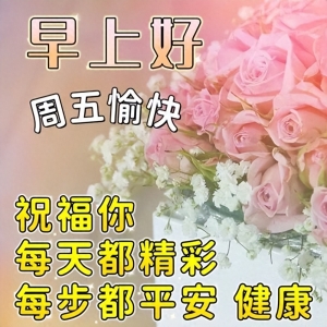 今日适合发的早上好问候语大全，愿我们健康快乐平安每一天