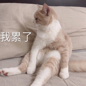 原创笑话十条： 朋友家孩子5岁，有尿床的习惯