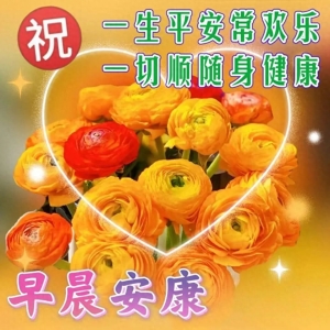最新版最漂亮的早上好短语句子，满满牵挂，祝福问候