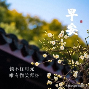 健康吉祥早上好短句 ，早安句子简短早安吉祥2023