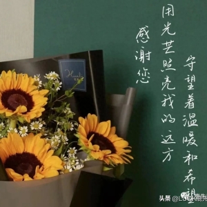 温暖又真诚的教师节朋友圈文案