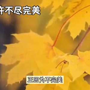 珍爱生命，坚守每个必经之路口