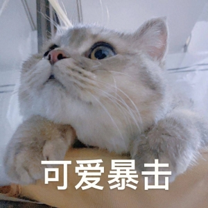 笑话十条：准备从新疆回老家，朋友说让给他带点特产