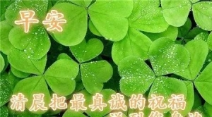 原创10月23日最美早上好祝福短信息 早上好问候早安的句子带图片