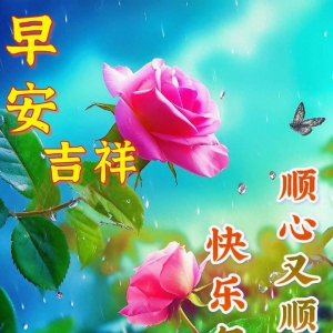 今日最新早上好问候语，开心每一天，幸福安康！