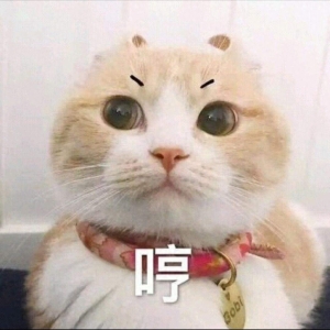 笑话十条：妈妈说，男孩子在外面，要懂得保护自己