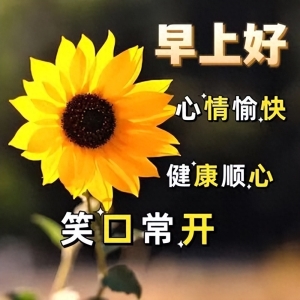 早上好最美祝福语问候语，每天问候，幸福健康