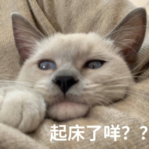 笑话十条 我表妹从小胆小爱哭，我小姨为了训练她，让她从小学武术