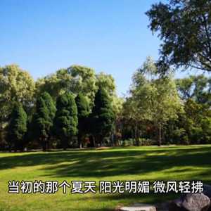 一段动人的爱情故事