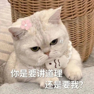笑话十条：闺女自从学习跆拳道以来总喜欢找小朋友一起切磋