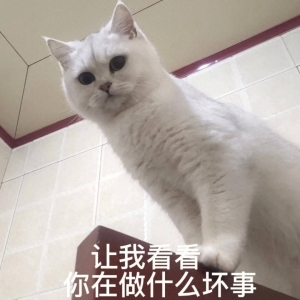 笑话十条： 街上两口子打架，我和我妈参加围观