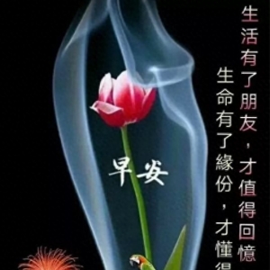 最美朋友群发早安问候语短信温馨 微信非常漂亮的早上好问候语