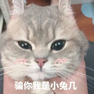 笑话十条：幼儿园里每周一早上都要检查小朋友的手指甲