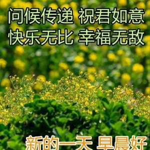 特漂亮早安问候语祝福表情图片 清晨安康吉祥的早上好短信祝福语录