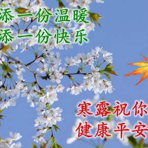早上好问候祝福语，幸福喜悦伴随每一天