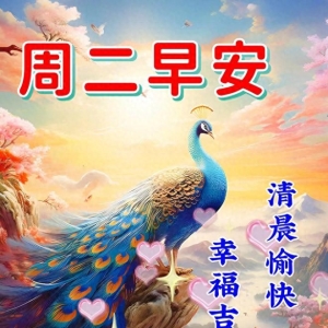 2023年10月3日早上好温馨祝福语，早安唯美问候图片